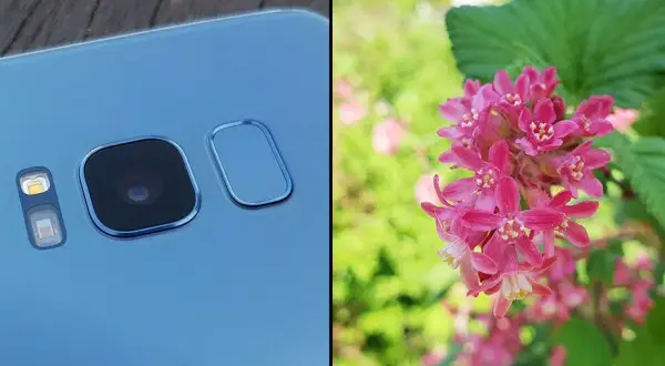 Zdjęcie oka jak pro? Makrofotografia smartfonem i aparatem
