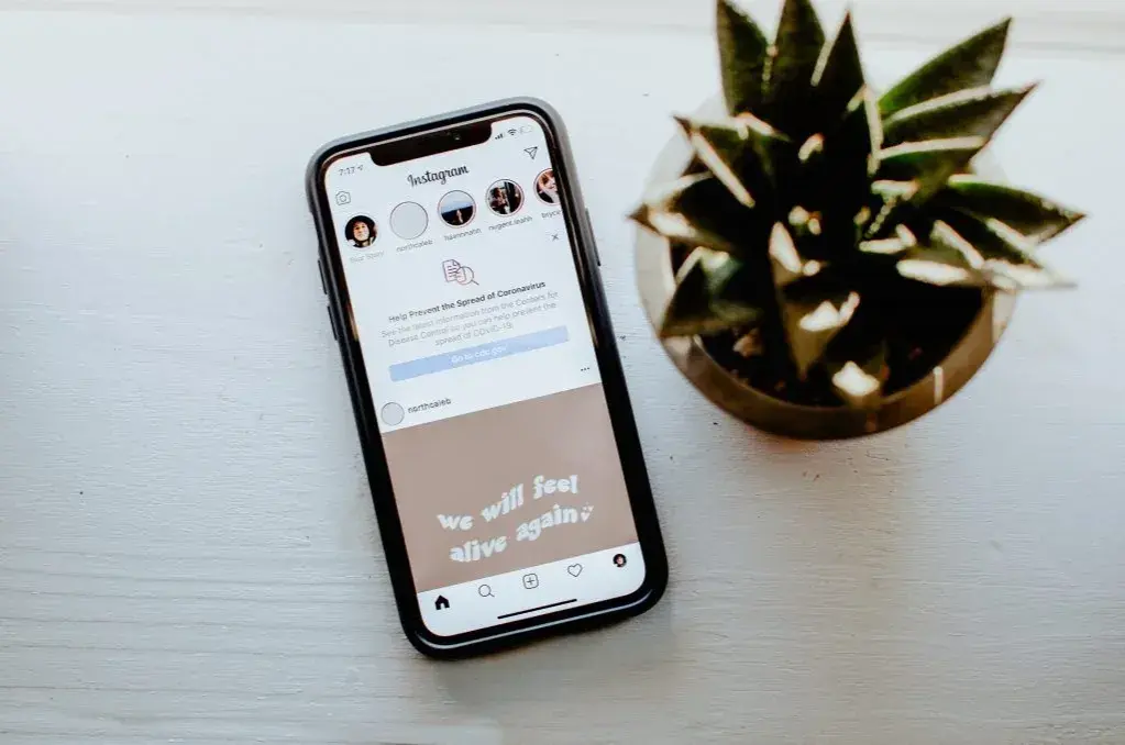 Jak zrobić tło do zdjęcia na Instagramie? Poradnik DIY i pro app!